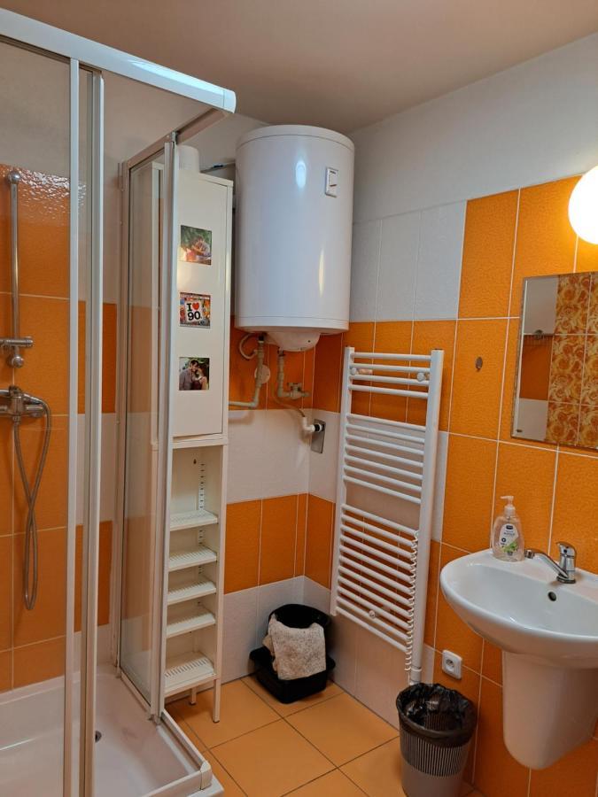Apartman Max Lipno Lipno nad Vltavou Kültér fotó