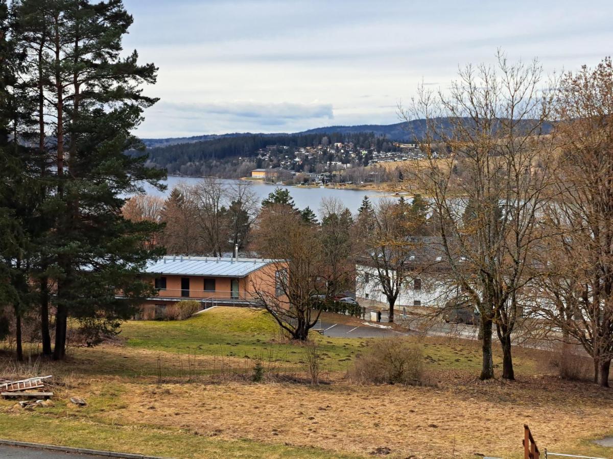 Apartman Max Lipno Lipno nad Vltavou Kültér fotó